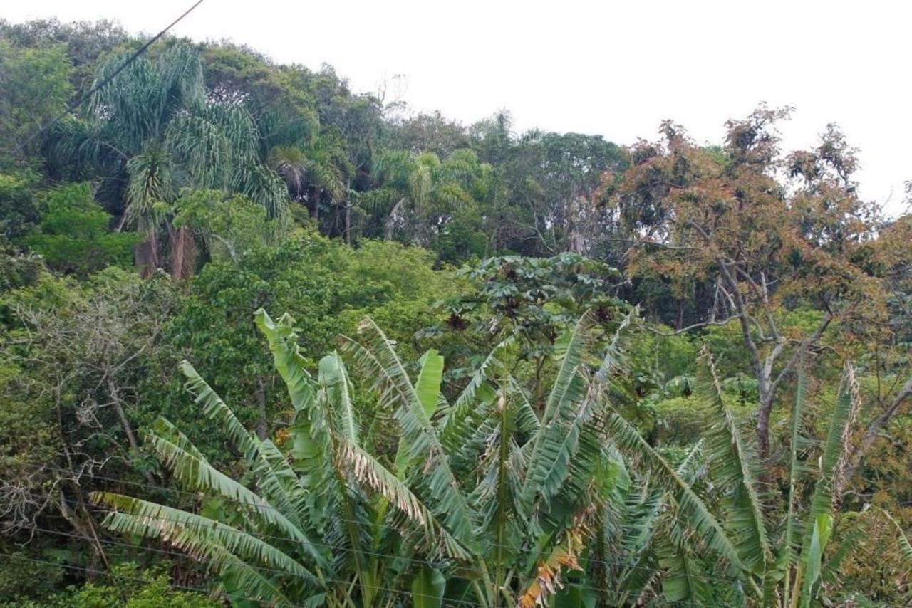 Apartamento Inteiro 3 Quartos No Condominio Solar Das Bromelias Bombinhas Exteriér fotografie